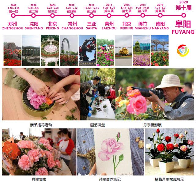第十届中国月季展览会将于9月在安徽阜阳举办(图1)