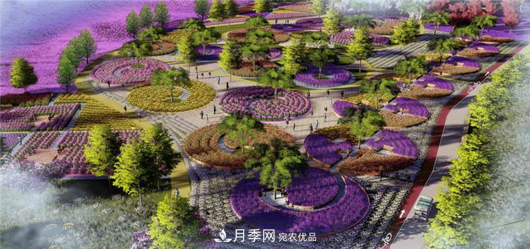 被称京南最美花园 河北沧州肃宁国际月季博览园大观(图4)