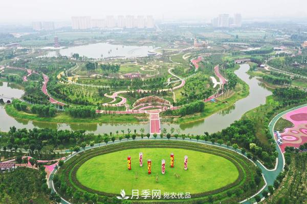 月季名园：聊城九州洼月季公园(图1)