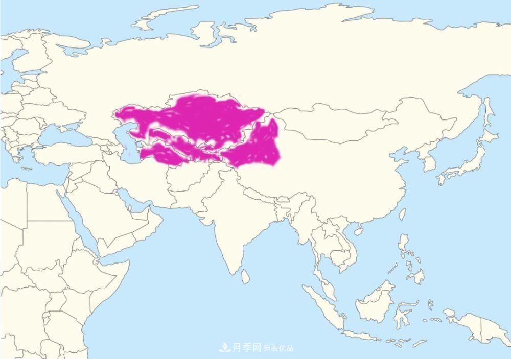 月季的前世今生 | 假如中国月季没有传入欧洲(图25)