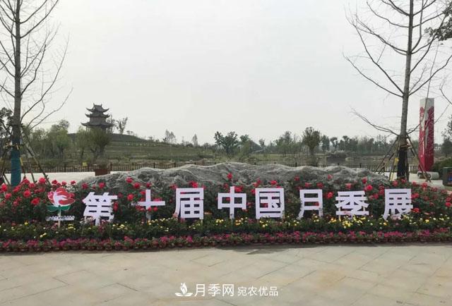 第十届中国月季展览会，南阳园和郑州园亮相(图1)
