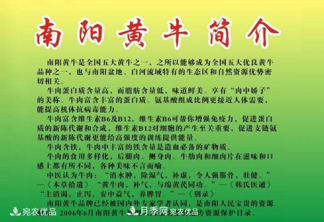 南阳黄牛，中国地理标志保护农产品(图3)