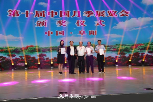 第十届中国月季展览会南阳市荣获奖项40余项(图3)