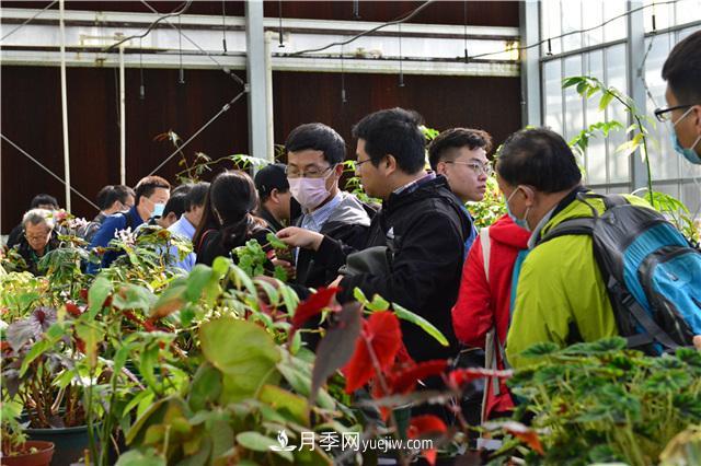 中国野生植物保护协会秋海棠专业委员会成立大会在上海召开(图3)