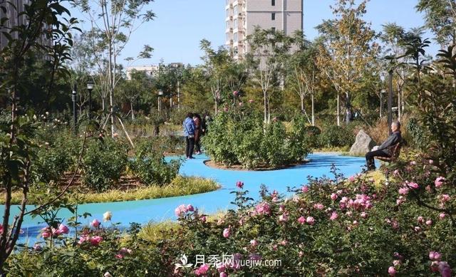 北京密云城区这片废弃厂房“变身”月季公园(图1)