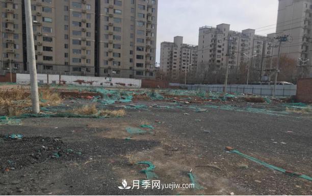 北京密云城区这片废弃厂房“变身”月季公园(图2)