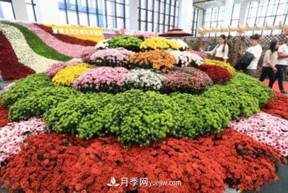 中国花卉协会绿化观赏苗木分会介绍(图1)