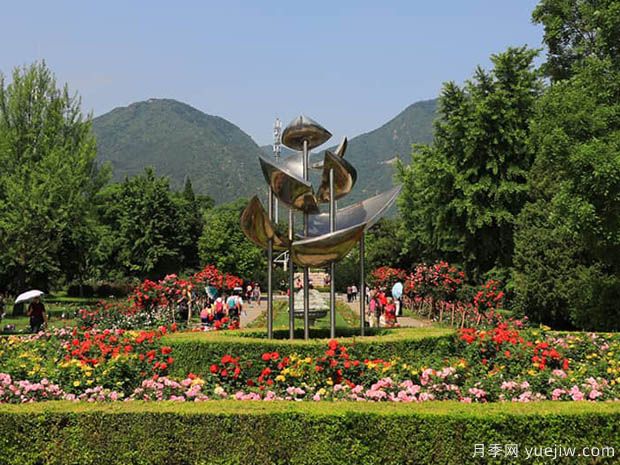 月季名园：北京市植物园月季园(图2)