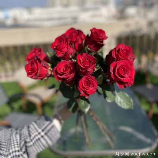 花店常备的15种红玫瑰是什么？有什么优缺点？(图2)