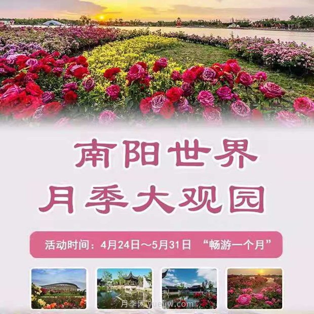 第十二届南阳月季花会4月29日开幕，活动丰富多彩(图1)