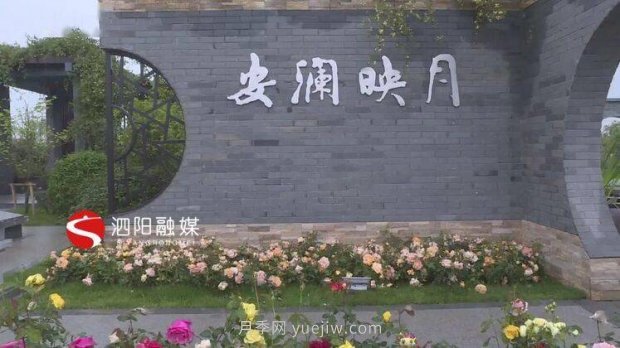第十一届中国月季展览会：走进淮安展园(图2)