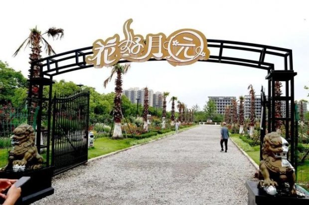 上海闵行区花好月园公园，万株月季怒放快来品(图1)