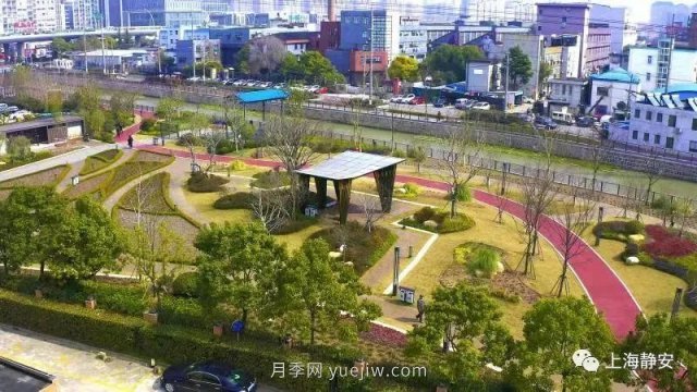 上海静安区白遗桥公园5000余株月季盛放！位置在这(图5)