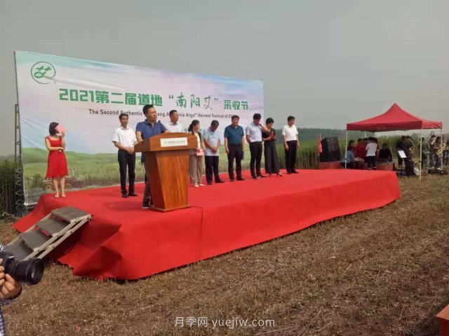 第二届道地“南阳艾”采收节在社旗县大冯营镇举办(图2)
