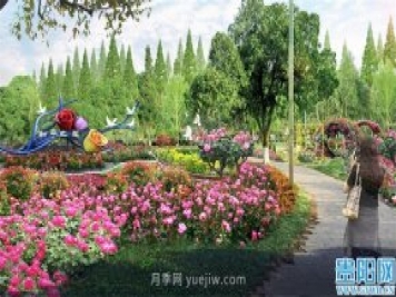 2021年贵阳花溪公园精品月季花卉展即将对外开放