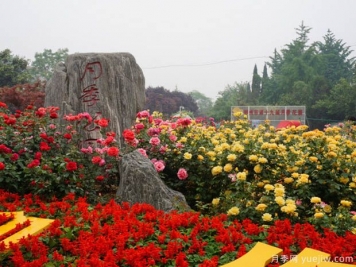 月季名园：郑州月季公园