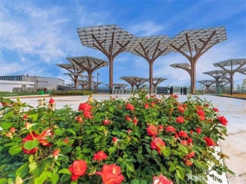 南阳世界月季大观园成为国家4A级旅游景区