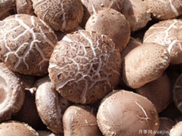 中国十大香菇产地排名