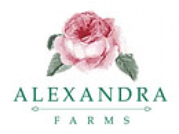 月季育种家：哥伦比亚亚历山德拉农场(Alexandra Farms)