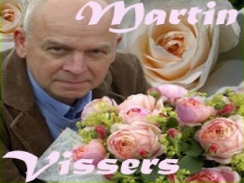 月季育种家：比利时Martin Vissers(马丁维瑟斯)
