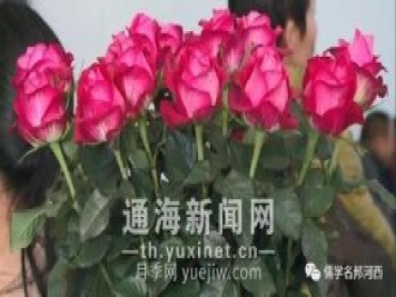 通海锦海农业“初心月季”荣获“中国好品种”称号
