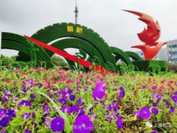 上海松江这里的花坛、花境“上新”啦！特色景观升级！