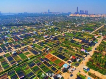 广东省中山市横栏镇，这个3万亩的花木之乡，亩均年产值竟达10万元