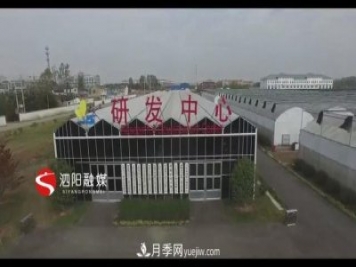 江苏泗阳新境界花卉基地：“花样”产业助力乡村振兴