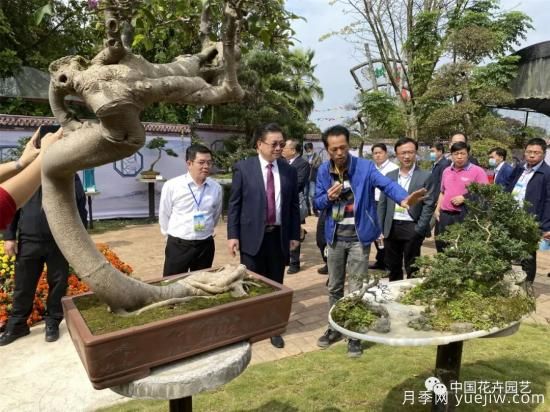 2021年第二届广西花卉苗木交易会在桂林举办(图2)