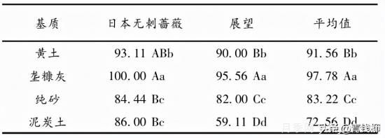 湖南湘中地区月季露地扦插试验(图2)