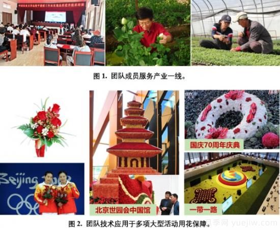 中国农大鲜花品控团队助推花卉种质创新与供应链技术升级(图1)