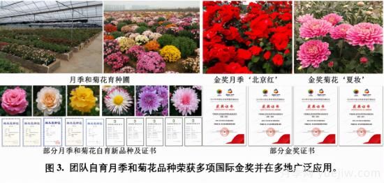 中国农大鲜花品控团队助推花卉种质创新与供应链技术升级(图2)