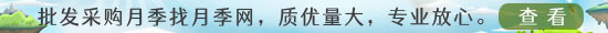 热带鱼