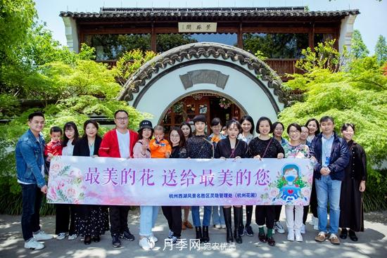 杭州月季缤纷 第八届杭州西湖月季花精品展(图3)