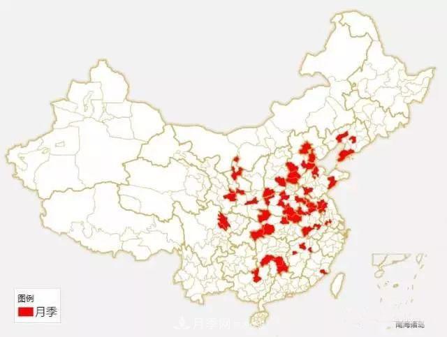 中国各城市市花大集合！月季是51个城市市花具首位(图1)