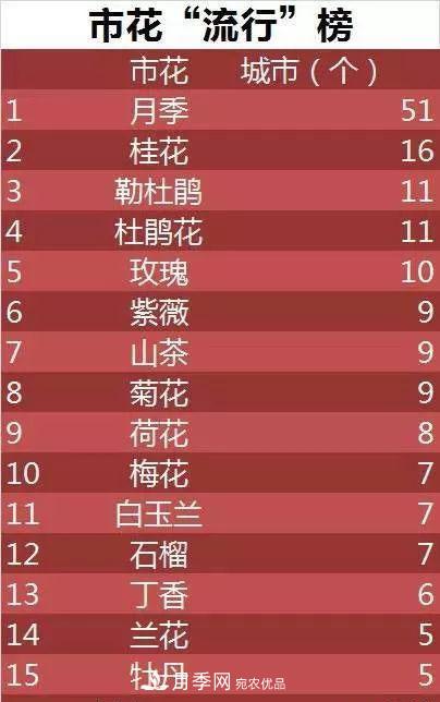 中国各城市市花大集合！月季是51个城市市花具首位(图3)