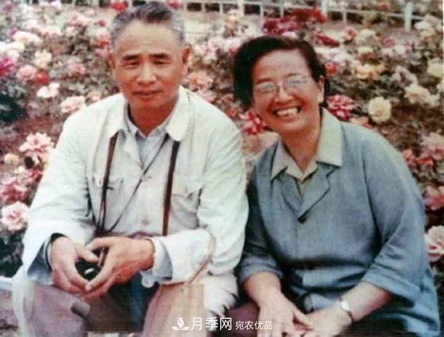 月季夫人蒋恩钿，是她把月季花种到了人民大会堂(图5)