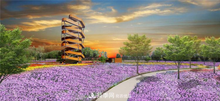 被称京南***美花园 河北沧州肃宁国际月季博览园大观(图6)