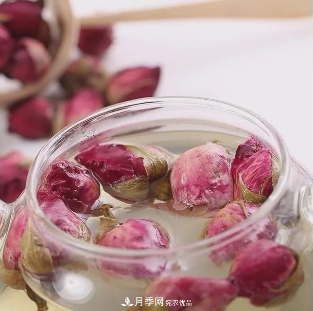被称京南***美花园 河北沧州肃宁国际月季博览园大观(图12)