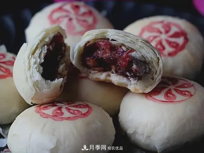 被称京南***美花园 河北沧州肃宁国际月季博览园大观(图13)