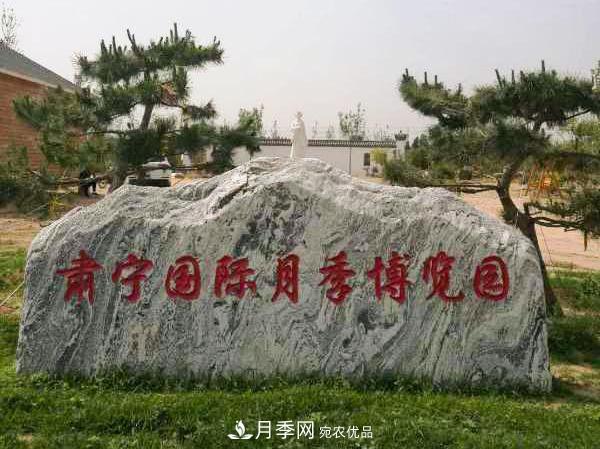 被称京南***美花园 河北沧州肃宁国际月季博览园大观(图14)