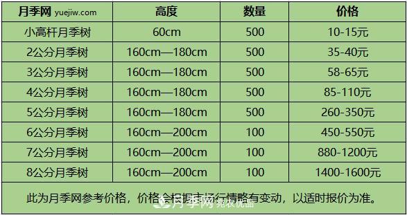 1、3、6公分南阳树状月季多少钱一棵？树状月季价格表！(图2)