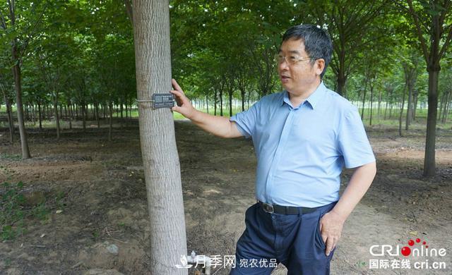 河南许昌鄢陵：花木产业释放三产融合发展新活力(图3)