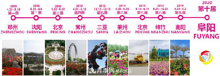 第十届中国月季展览会，55万余株月季在安徽阜阳待游客观赏(图1)