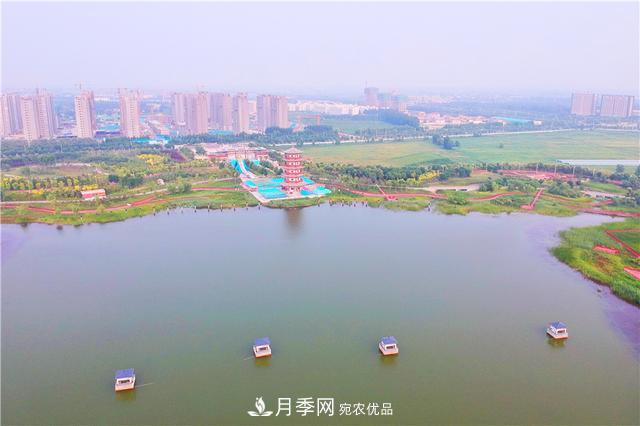 山东济南的后花园，童话般月季花王国，300亩900个品种月季花盛放(图9)