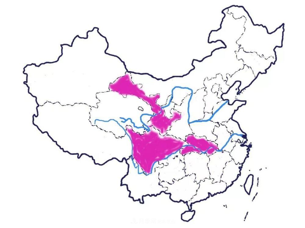 月季的前世今生 | 假如中国月季没有传入欧洲(图8)