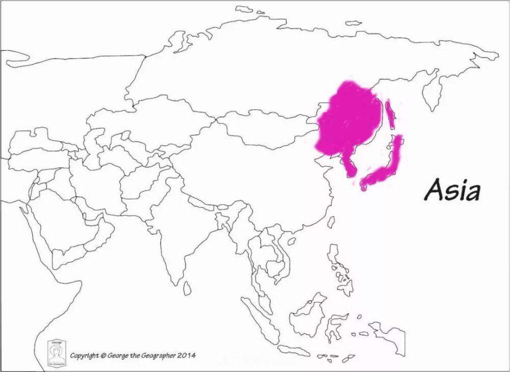 月季的前世今生 | 假如中国月季没有传入欧洲(图36)