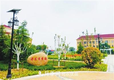 天津市西青区“赤龙月季园”建成开放(图1)