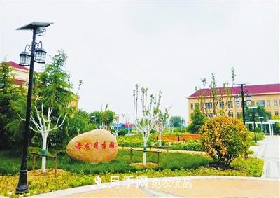 天津市西青区“赤龙月季园”建成开放(图1)