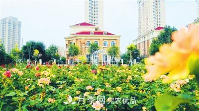 天津市西青区“赤龙月季园”建成开放(图2)